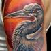 Tattoos - Bird - 89482