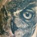 Tattoos - Owl Face - 91843