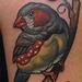 Tattoos - Zebra Finch  - 95502