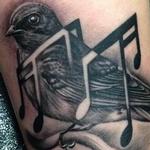 Tattoos - Swallow with Music Notes - 99694