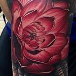 Tattoos - Lotus  - 111412