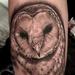 Tattoos - Owl   Part of an animal sleeve  - 71061