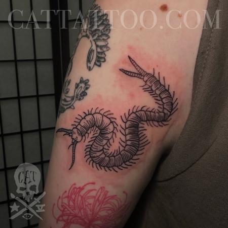 tattoos/ - Centipede - 148227