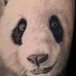 Prints-For-Sale - Healed Panda - 143624