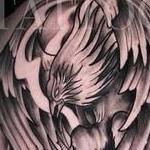 Prints-For-Sale - Black and Grey Pheonix - 142949