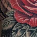 Prints-For-Sale - Snake and Roses Half Sleeve Image 3 - 142806