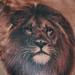 Tattoos - Lion  - 63149