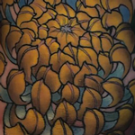 Prints-For-Sale - Chrysanthemum - 134490