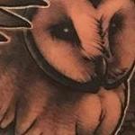 Prints-For-Sale - Owl - 129830