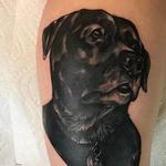 Tattoos - Good boy - 141849