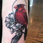 Tattoos - Cardinal  - 141859