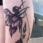 Tattoos - Healed Columbine  - 139689