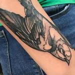 Tattoos - Bird - 139694