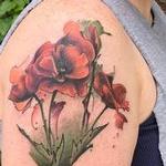 Tattoos - Poppies  - 141857