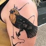 Tattoos - Yellow Headed Blackbird  - 139682