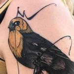 Tattoos - Yellow Headed Blackbird  - 139683