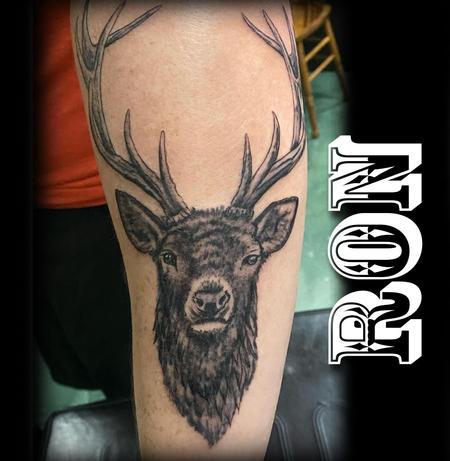 tattoos/ - Deer  - 144079
