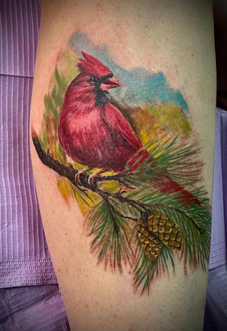 tattoos/ - red cardinal  - 144681