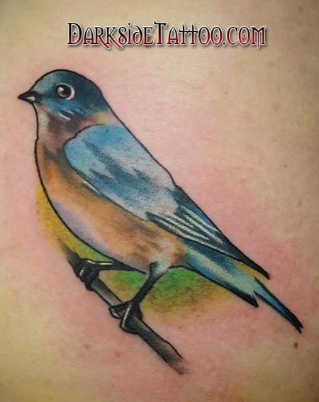 Colorful bird tattoo on the rib cage - Tattoogrid.net