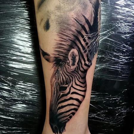 tattoos/ - Zebra - 145915