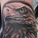 Tattoos - Black and Gray Bald Eagle Tattoo - 88739