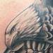 Tattoos - Black and Gray Eagle - 89093