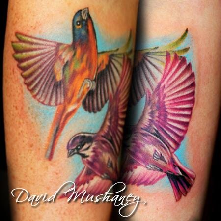 Humming Colorful Bird Tattoo | JPG Free Download - Pikbest
