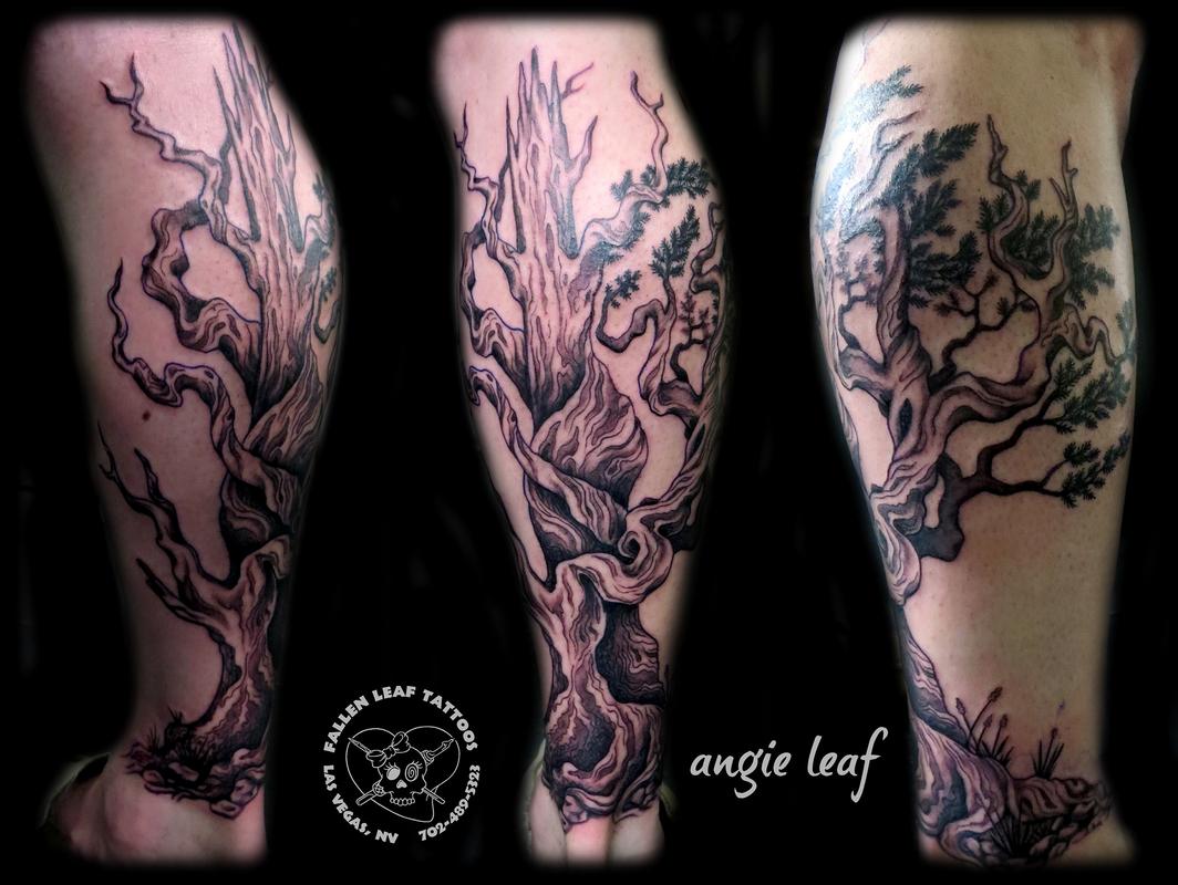 Crane  Bristlecone Pine  Bristlecone pine Skull tattoo Tattoo  inspiration