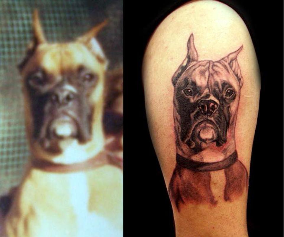 28 Best Boxer Dog Tattoo Designs  PetPress