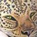 Tattoos - realistic color leopard tattoo - 56963