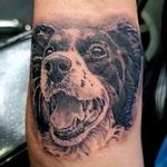 Tattoos - Pooch - 145944