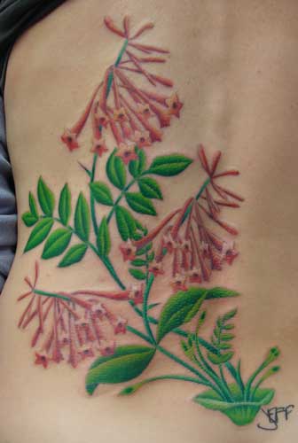 honeysuckle vine tattoo