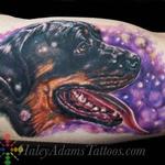 Tattoos - Dozer the pup - 114909