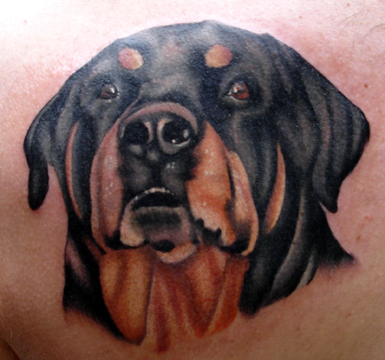 PARITA Big Tattoos Rottweiler Dog Cartoon Tattoo Stickers New Old School  Tattoo Waterproof Designs Body Art Fake Removable for Men Women (1 Sheet.)  (03) : Amazon.ca: Beauty & Personal Care