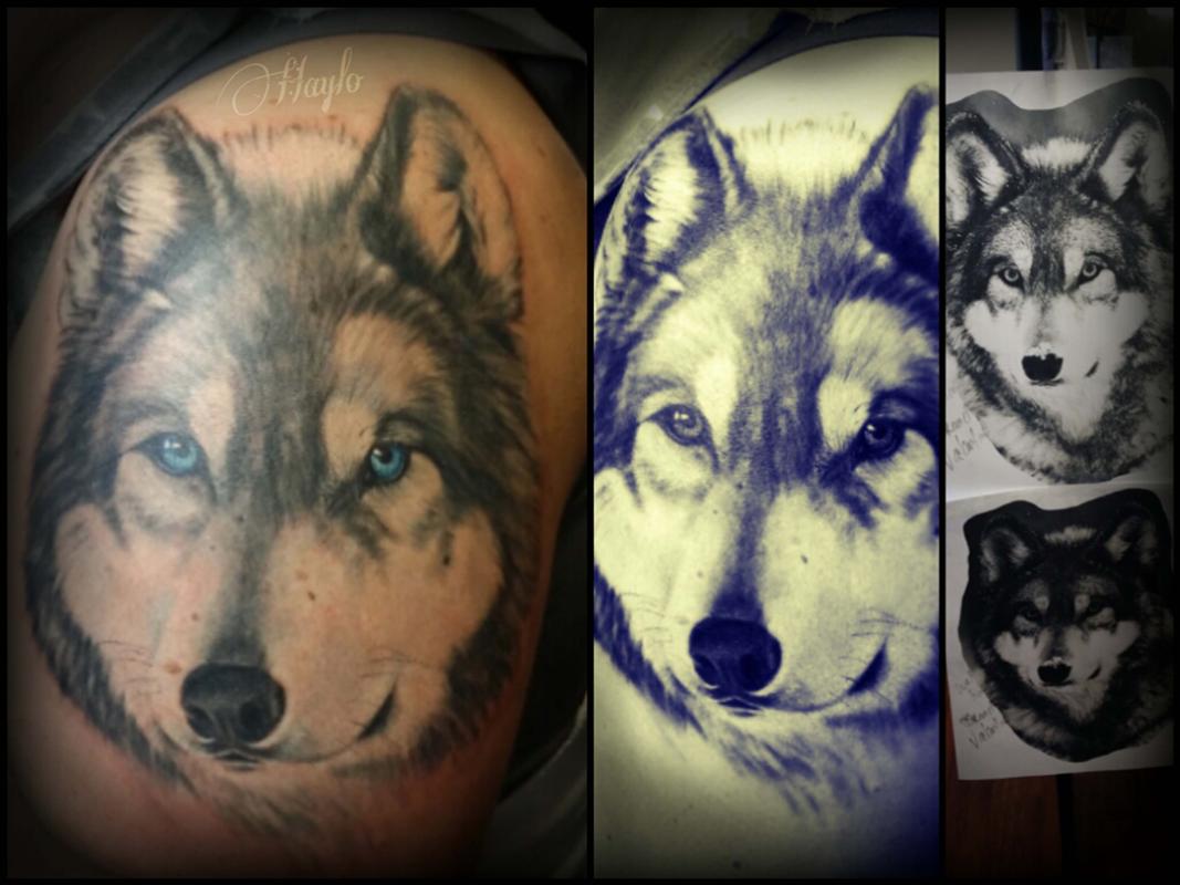 blue eyed wolf tattoo