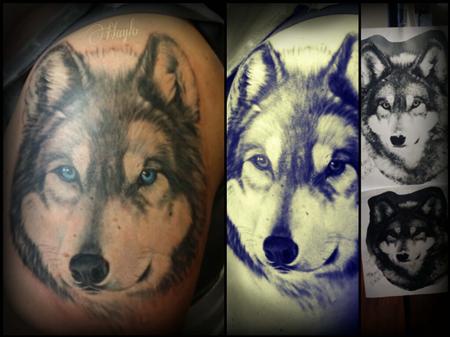 Miami Ink-LoveHate Tattoos - Icy Husky by @immaxrodriguez 🔵 @thesolidink  @the_pearl_rotary | Facebook