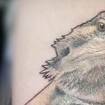 Tattoos - Bearded Dragon forearm tattoo by Haylo  - 141189