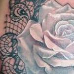 Tattoos - Rose & Lace tattoo by Haylo - 141150