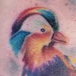 Tattoos - Mandarin duck and hummingbird watercolor tattoo by Haylo  - 141597