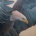 Tattoos - Realistic Bald Eagle Tattoo by Haylo - 141596