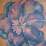 Tattoos - Watercolor Larkspur By Haylo - 141348