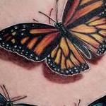 Tattoos - 3D Butterfly tattoo by Haylo  - 141161