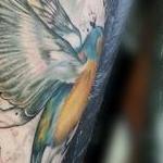 Tattoos - Blue and Gold finch with ink drips by Haylo  - 141213