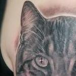 Tattoos - Cat Portrait tattoo by Haylo  - 141152