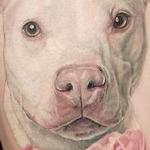 Tattoos - Pitbull Portrait tattoo by Haylo - 141595