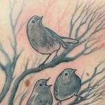 Tattoos - Finch birds in tree by Haylo - 141353