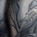 Tattoos - Odins Ravens tattoo by Haylo  - 141147