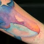 Tattoos - Killer Whale watercolor arm tattoo by Haylo - 141588