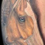 Tattoos - Horse portrait tattoos by Haylo  - 141412