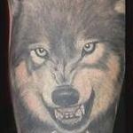 Tattoos - Wolf rework tattoo by Haylo  - 141411